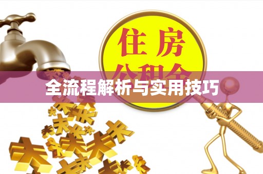 日喀则全流程解析与实用技巧