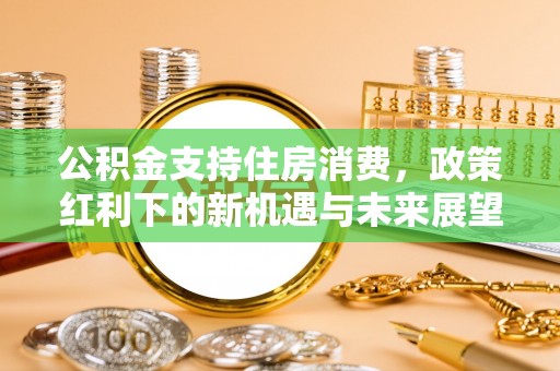 日喀则公积金支持住房消费，政策红利下的新机遇与未来展望