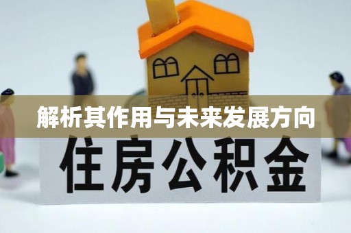 日喀则解析其作用与未来发展方向
